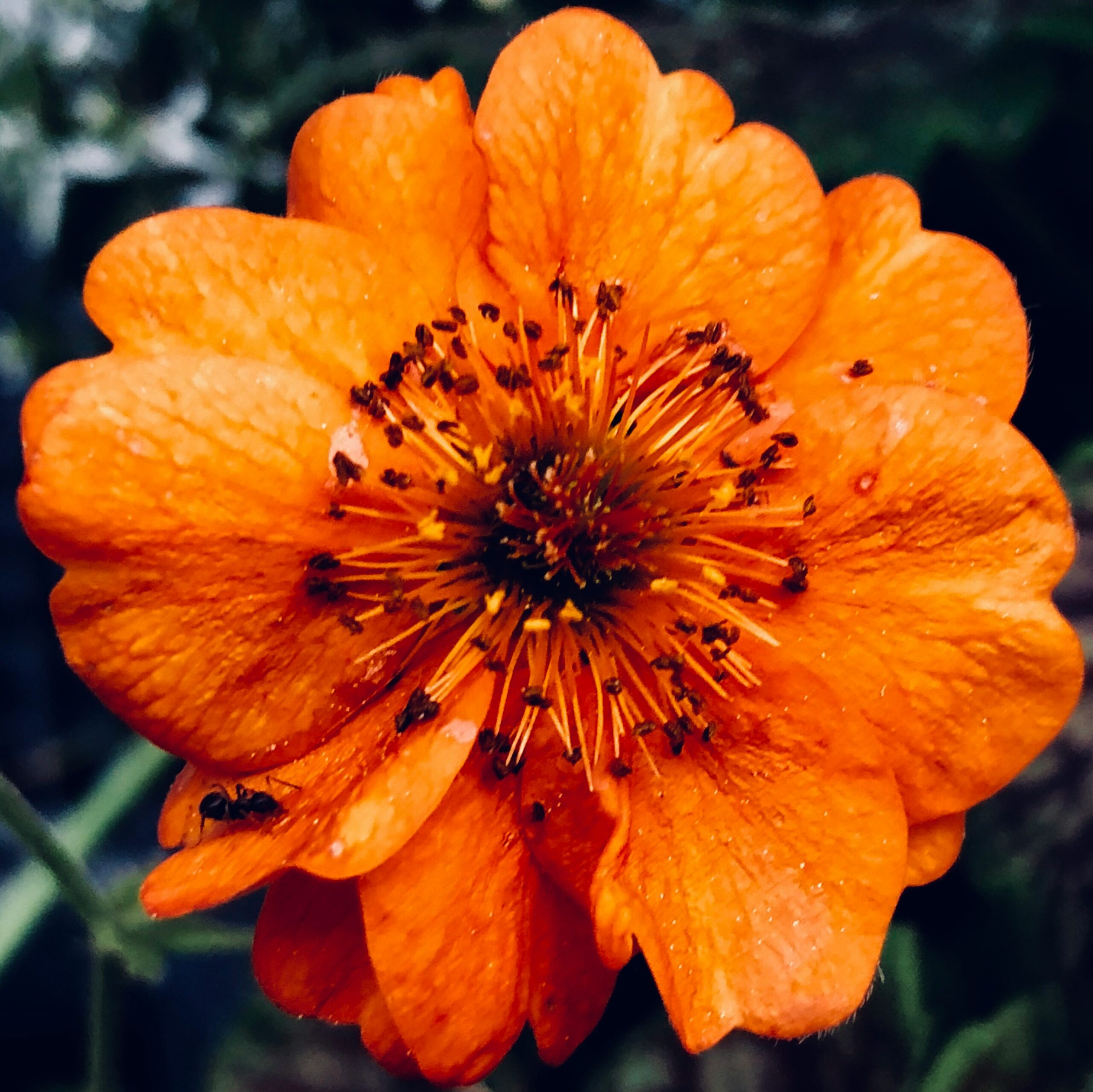 Bernd Dittrich J0eI Rb609I Unsplash Scaled